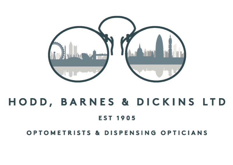 45917 geodir practicelogo Hodd Barnes Dickins LOGO FINAL BLUE